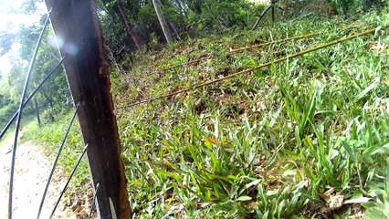 4k, ultra hd, Vamos pedalar, trilhas, montanhas, Serra da Mantiqueira, Mtb, (33)