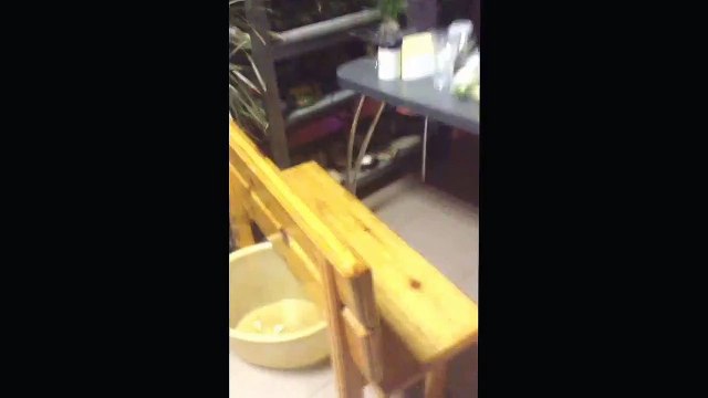 Прикол над другом ментос и кола