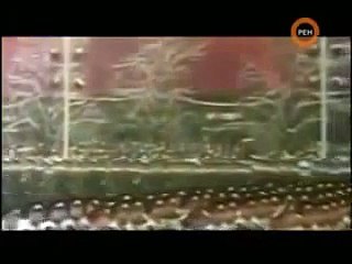 Предсказания Эдгара Кейси