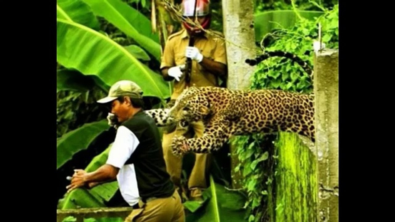 Photos taken at the right time. 31 Photos Of People Who Are Definitely About To Poo Their Pants