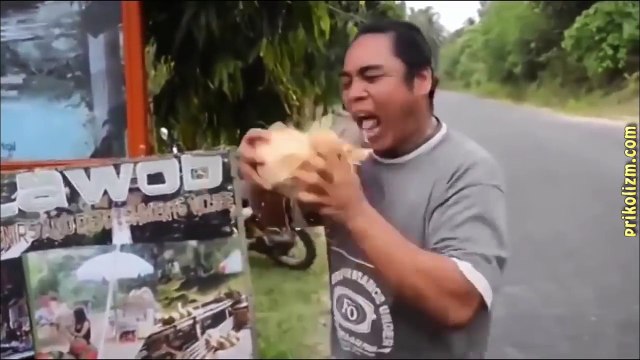 Смешные приколы и интересное видео под прикольный музон. Лучшие coub приколы и другие ролики