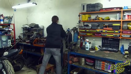 ЛУЧШИЕ ПРИКОЛЫ ДОБРЫЙ КОТ №16