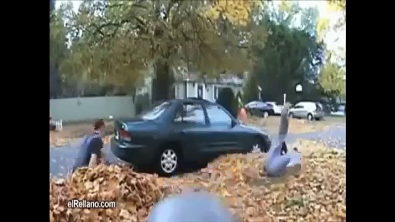 Лучшие ПРИКОЛЫ    смотреть бесплатные видео приколы онлайн1