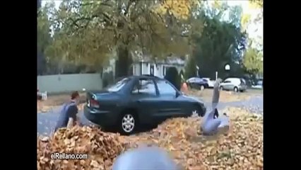 Лучшие ПРИКОЛЫ    смотреть бесплатные видео приколы онлайн1