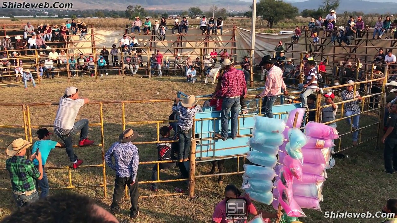 JARIPEO HD 4K EN GUARUCHA LOS TOROS MAS SALVAJES Y VALIENTES JINETES LO MEJOR DE ENERO 2017