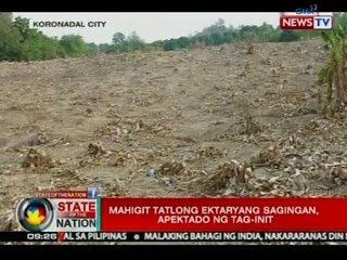 SONA: Mahigit tatlong ektaryang sagingan, apektado ng tag-init