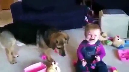 Самые лучшие приколы про животных 2016г смех до упаду