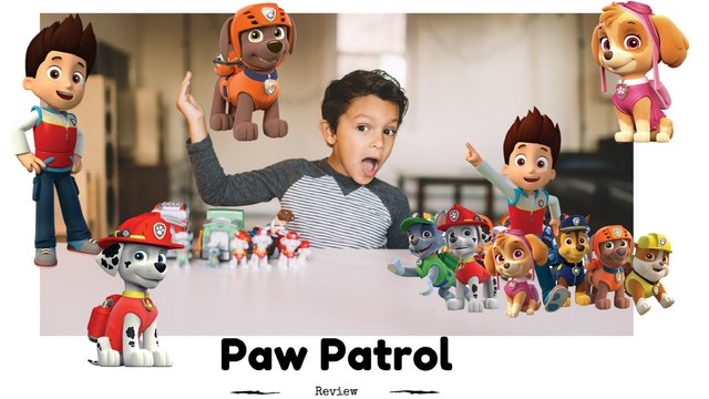 Paw Patrol pups and vehicles, Marshall, Chase, Zuma, Rocky, Rubble, Skye. Caleb ToysReviews HD