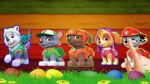 Paw Patrol Sticker Finger Family Songs Nursery Rhymes By Sticker Finger Family