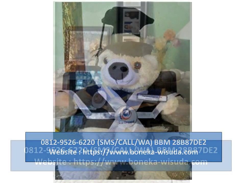 0812-9526-6220 (SMS-WA-CALL) | Boneka Wisuda Teddy Bear Besar | Jual Boneka Wisuda Teddy Bear Besar