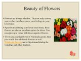 Seven Steps to Care Your Flowers When Buying Wholesale Direct