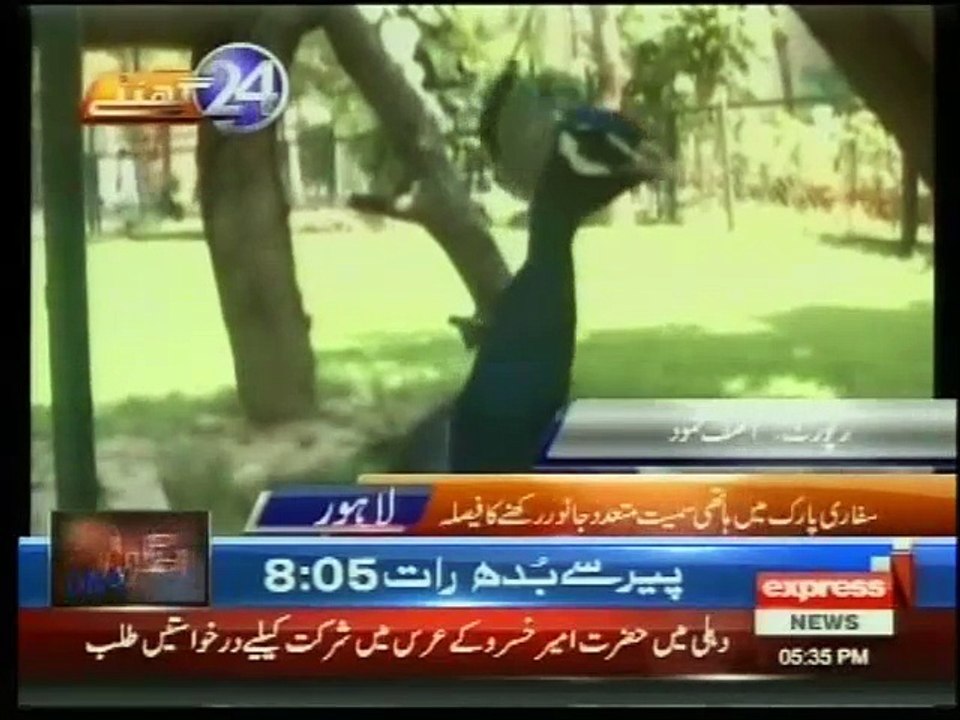 DG wild life discuss about Safari Park Zoo Fab 1 16