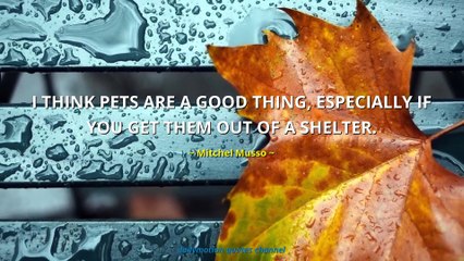 Mitchel Musso Quotes