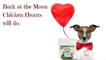 Valentine Treats for Dogs & Cats - Grain Free - Made in USA