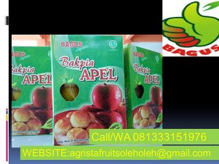 Call/WA 081333151976,Harga Bakpia Apel,Dodol Apel