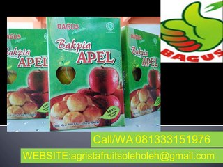 Call/WA 081333151976,Jual Bakpia Apel,Jambu Merah