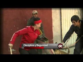 Adiestramiento canino, disciplina y seguridad