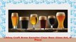 Libbey Craft Brew Sampler Clear Beer Glass Set 6Piece 13c10d36