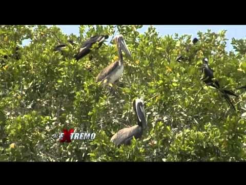 Atracciones de San Blas en México