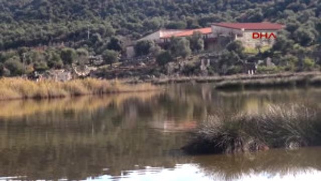 Demre - Noel Baba Kuş Cenneti 149 Tür Kuşu Barındırıyor