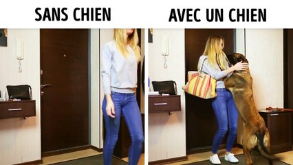 Vivre avec un chien VS Vivre sans chien...