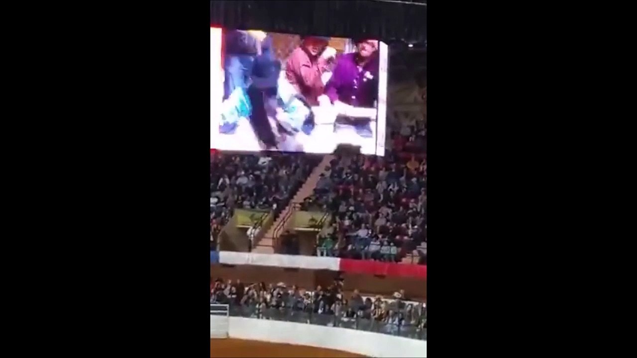 Ce cheval de rodéo se met KO tout seul!