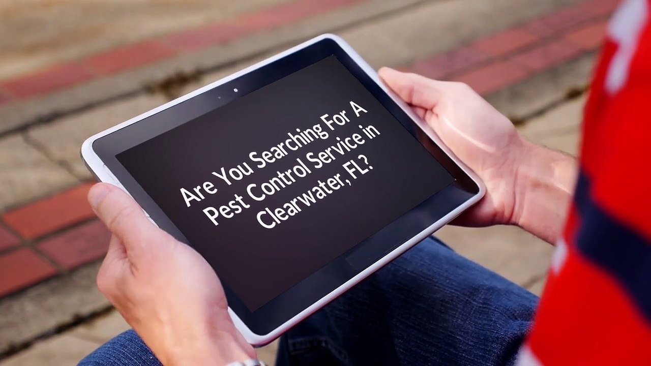 OCP Termite & Pest Control in Clearwater, FL