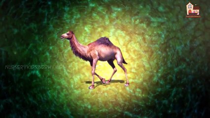 Верблюд Finger семья рифмуется английское 3D анимации для детей дошкольного возраста