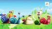 The Finger Family Turbo Snail Cartoon Family Songs | Animated Cartoon Nursery Rhymes for Children