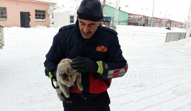 Bingöl'de donmak üzere olan kediyi itfaiye böyle kurtardı