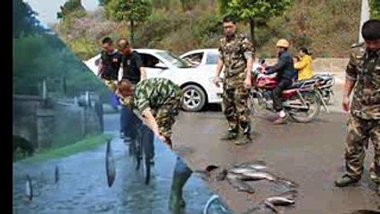 মাছ বৃষ্টি কেন হয় জানলে অবাক হবেন(240p)