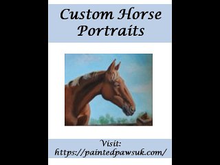 Custom Horse Portraits