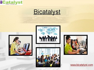 Best IT Training Institutes In Pune -Bicatalyst