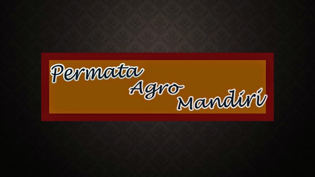 Call/WA 082-140-352-612 Pia Apel Batu, Pia Apel Jogja, Pia Apel Bogor,