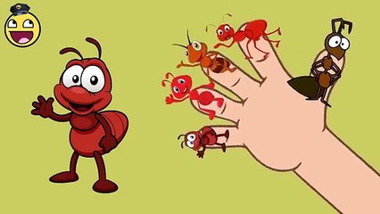 Kids Songs | Ant Finger Family Songs for Children Nursery Rhymes | Funny Finger Family