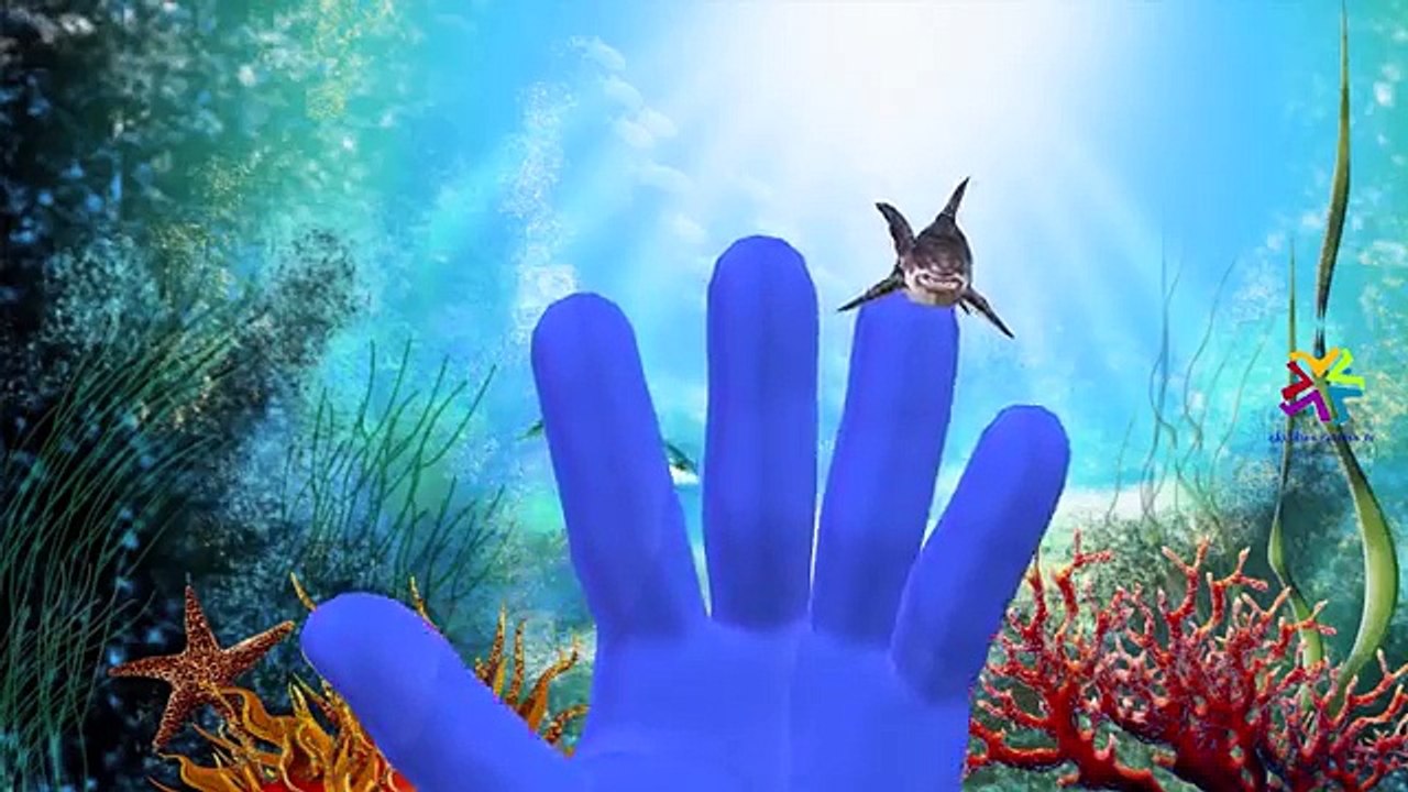 Finger Family Rhymes Rhino Elephant Dinosaurs | Sharks King Kong Sea Animals Kangaroo Finger Family