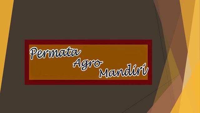 Call/WA 082-140-352-612 bakpia apel manalagi, bakpia apel australia, bakpia apel roam beauty,