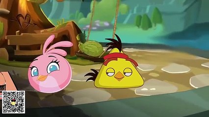 Angry Birds Animation : What A Bitch