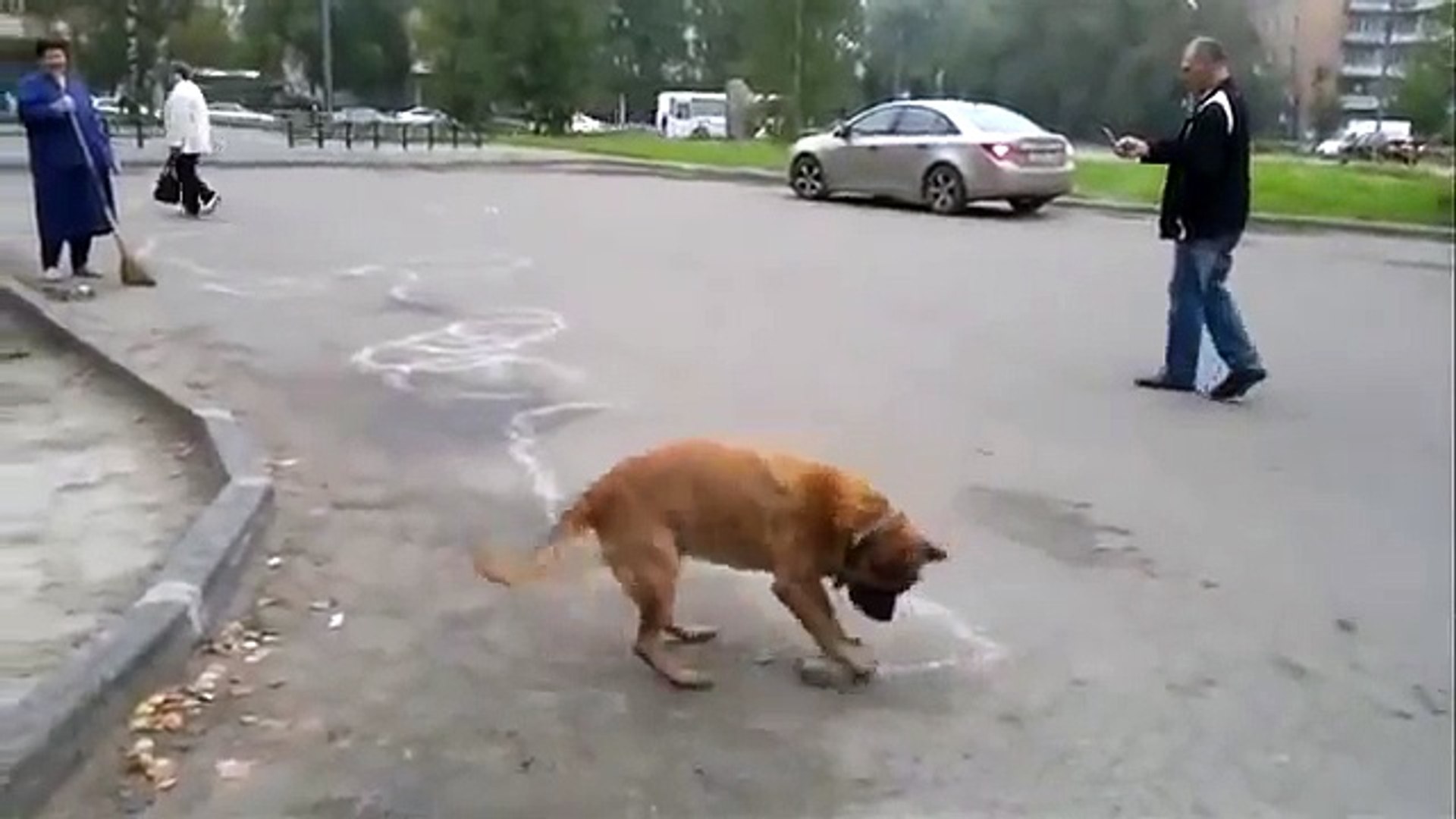 ⁣Это просто надо видеть! Супер смешные и прикольные животные! У нас только лучшее!