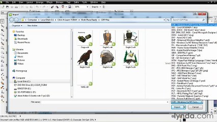 CorelDRAW Essential Training - Importing files