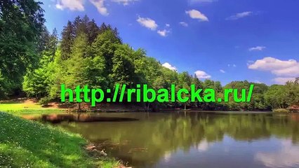 Пьяные приколы на рыбалке