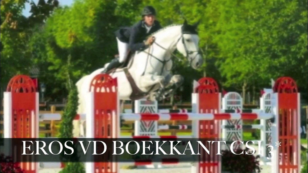 Salon des Etalons de Sports - Jumping International de Bordeaux 2017 (02/02/2017)