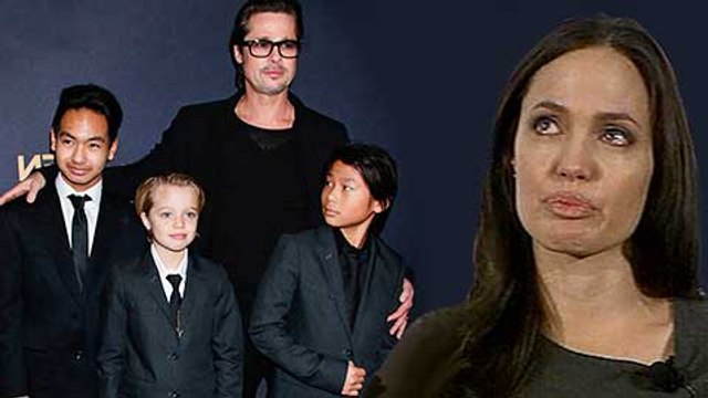 Brad Pitt Sure To Win Joint Custody Of The Kids Brangelina DIVORCE