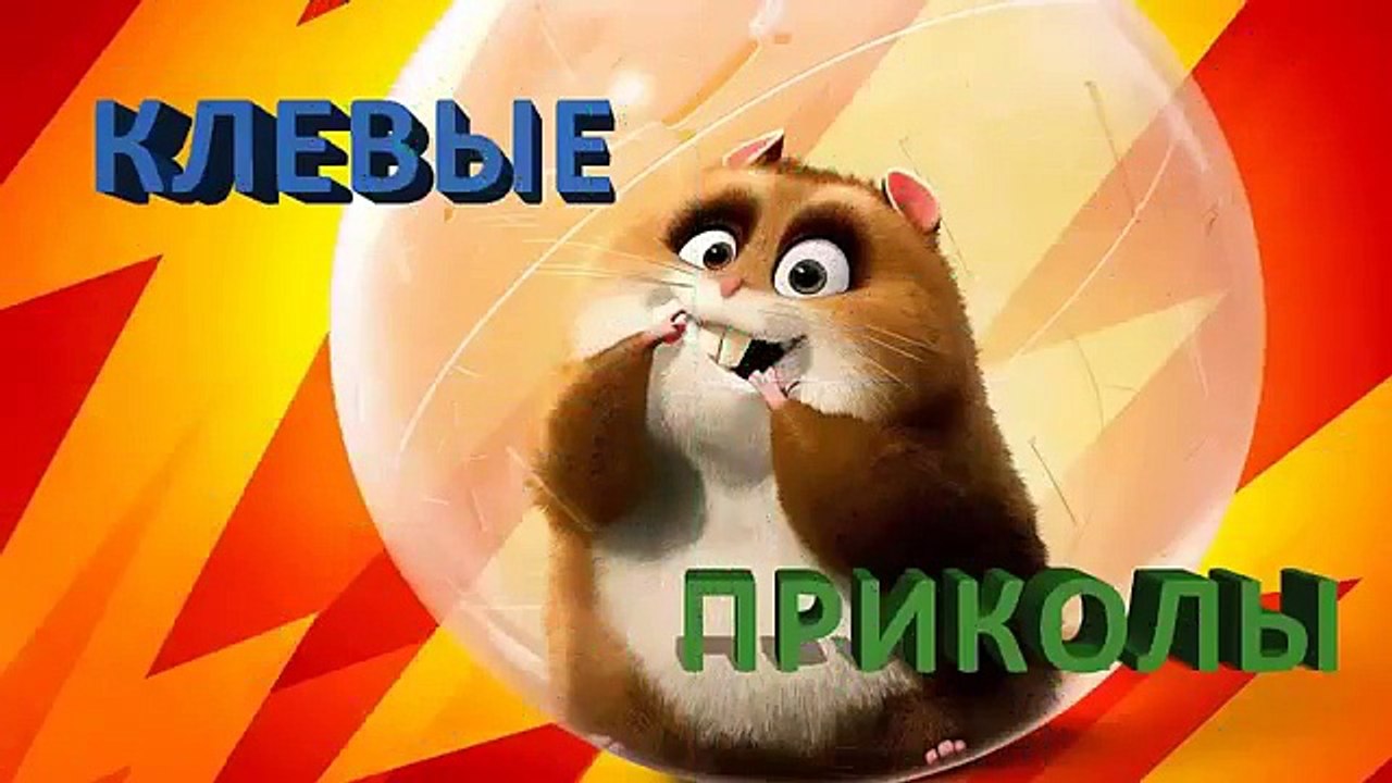 Приколы про животных  видео приколы про котов и кошек 2016