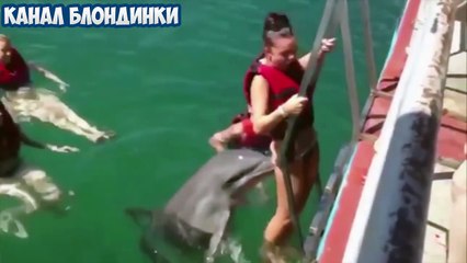 ПРИКОЛ №43 Лучшие приколы 2016. Ржака до усрачки