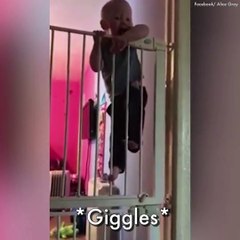 Kendisine Kurulan EngelleriTırmanarak Aşan Bebek