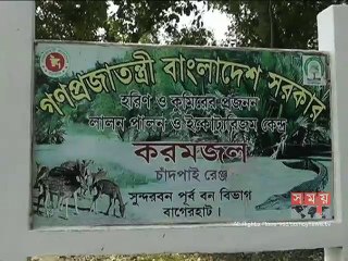 কুমিরের বাচ্চা চুরির ঘটনায় একজন বরখাস্ত