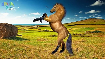 Learning Wild Animals Names and Sounds for kids | Real and cartoon animals