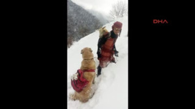 Sosyal Medyada En Çok Paylaşılan Fotoğrafın Sırrı Ortaya Çıktı