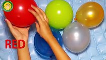Glitter Balloons Finger Family Nursery Rhyme Learn Colors Balloon |Top Learn Colors Wet Balloons